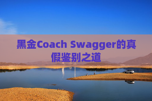 黑金Coach Swagger的真假鉴别之道 黑金Coach Swagger的真假鉴别之道